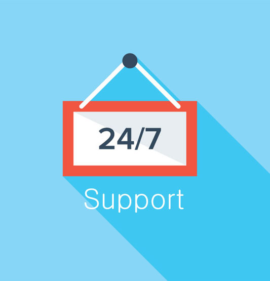 24x7 Support by WordPress Mechanic
